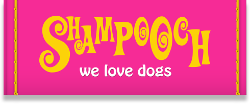 Shampooch logo