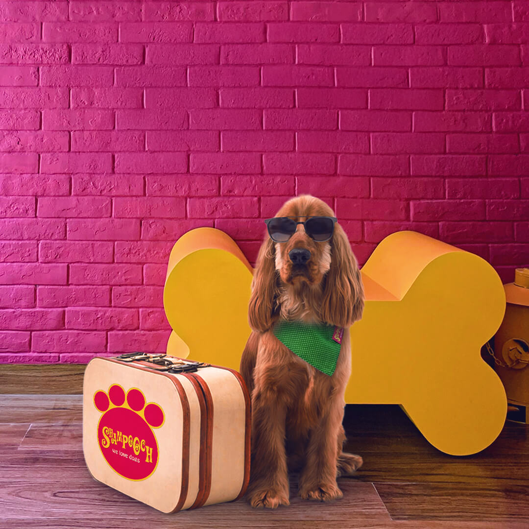 Boutique Hotel image